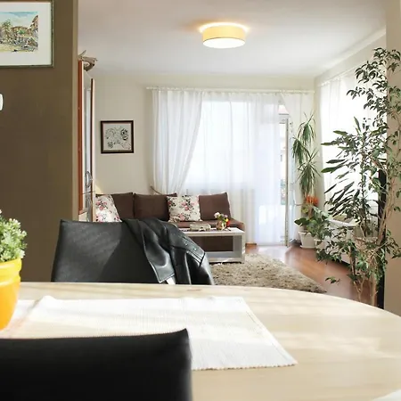 Sunny Day ポモリエ