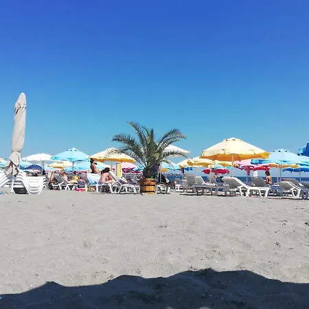 Sunny Day ポモリエ