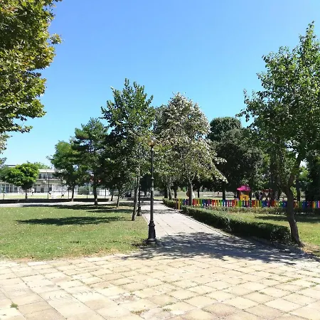 Sunny Day 帕莫瑞