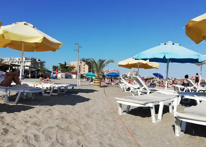 Sunny Day Daire Ahyolu